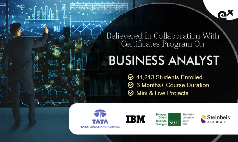 Programming Coding Business Analyst Course