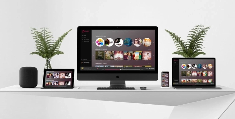 What is the best music service that helps you discover new music?