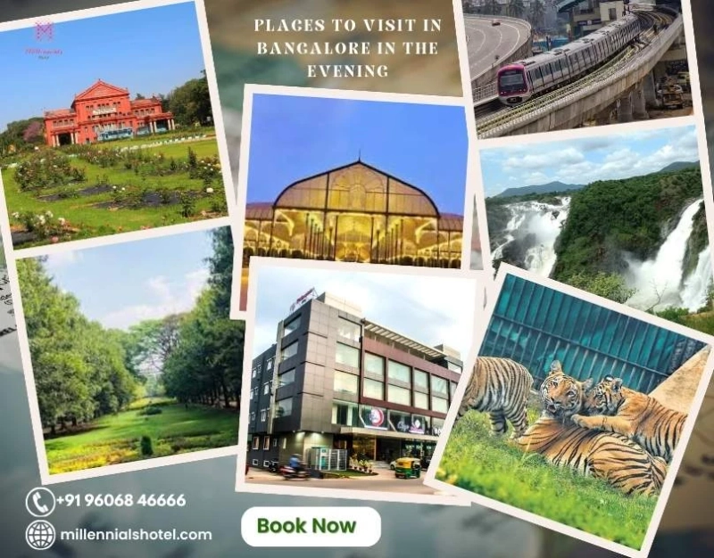 Best Places to Visit in Bangalore in the Evening—Millennials Hotel