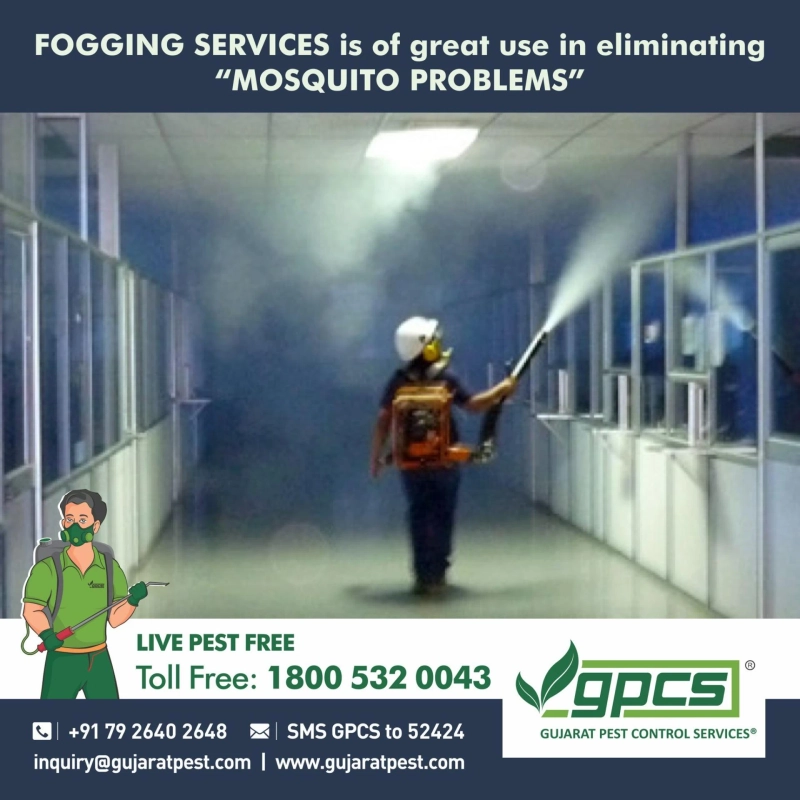 Pest Control for Your House: Easy and Useful Techniques