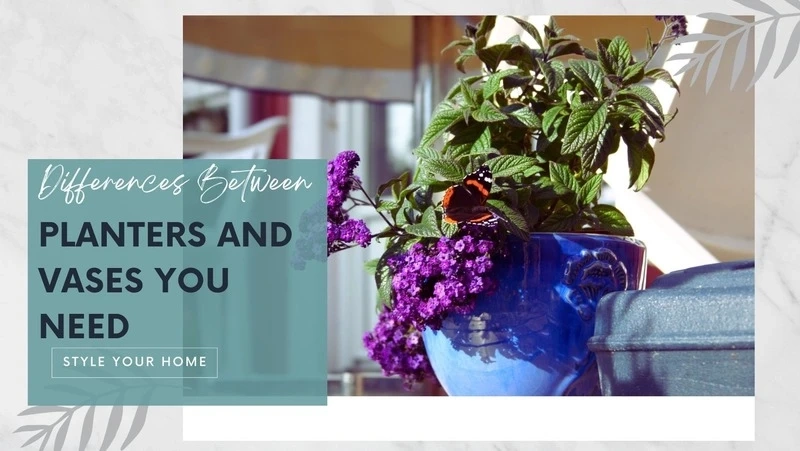 10 Differences Between Planters and Vases You Need to Know!