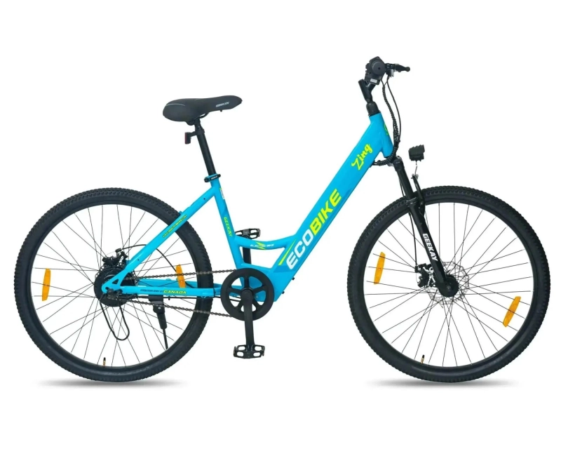From City Streets to Countryside Rides: The Ultimate Guide to Choosing the Perfect Ladies Cycle