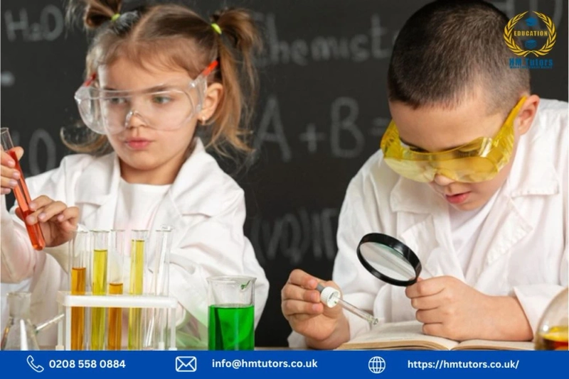 Exploring the Key Stage 2 Curriculum Science: A Comprehensive Guide