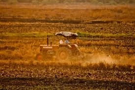 Agriculture