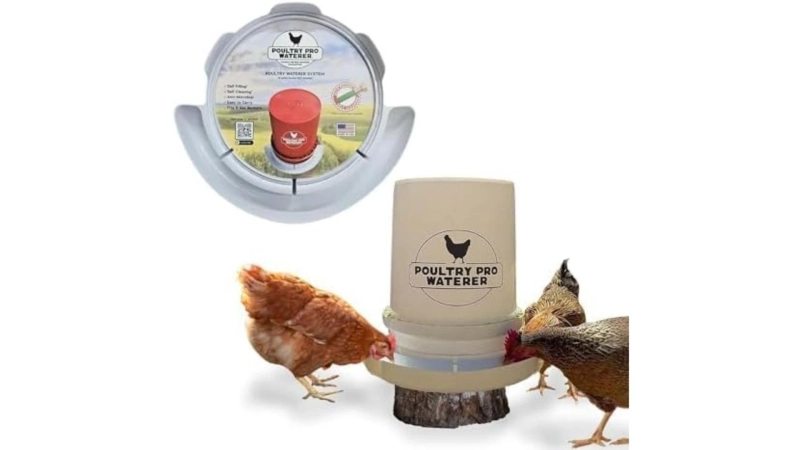 How to Stop Feed Waste with a High-Quality Chicken Gravity Feeder?