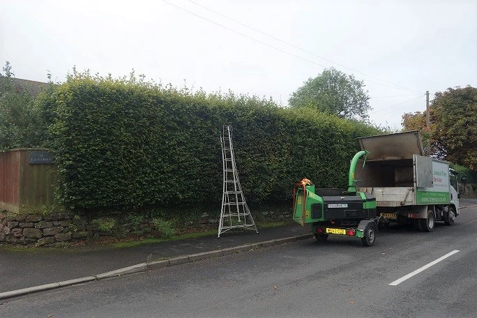 Garden Clearance- A Necessity!