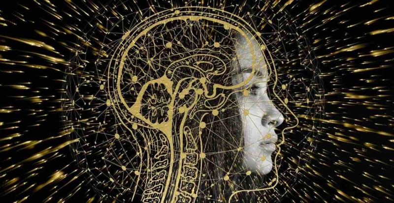 Understanding Different Types of Artificial Intelligence Projects for Beginners