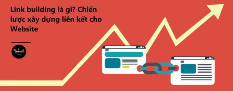 Link Building Là Gì? Cách Xây Dựng Link Building Cho Website Hiệu Quả