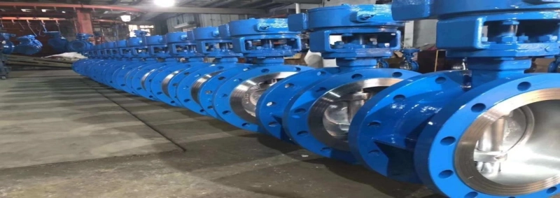 Double Flanged Butterfly Valve suppliers in Saudi Arabia
