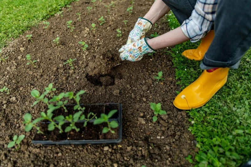 Get Professional Gardening Services in Vancouver