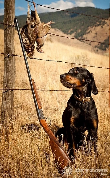 Get Ready for Duck Season with These 4 Shotguns