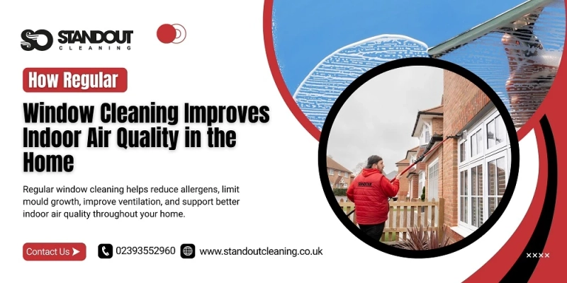 How Regular Window Cleaning Improves Indoor Air Quality in the Home