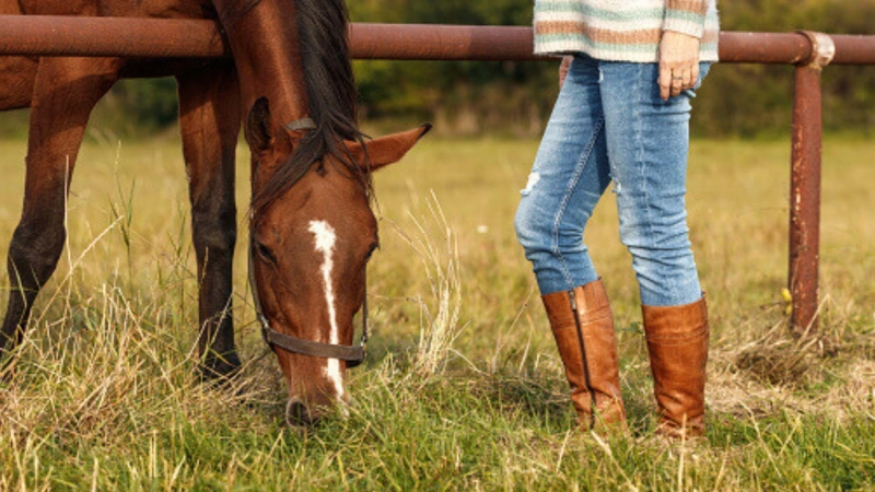 Discover the Paddock Boots in Ontario Online