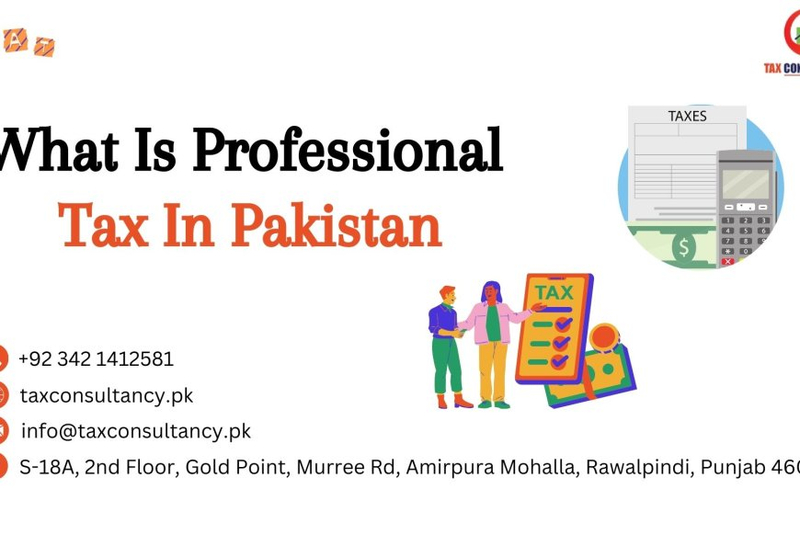 What is a professional tax in Pakistan?
