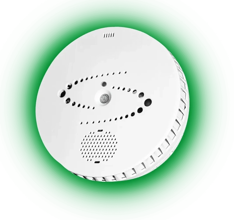 Smart, Safe, and Secure: Exploring the HALO Smart Sensor's Features