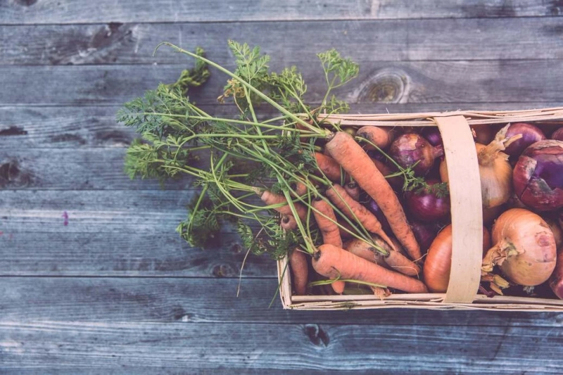 5 Ways Sustainability Can Improve Your Lifestyle