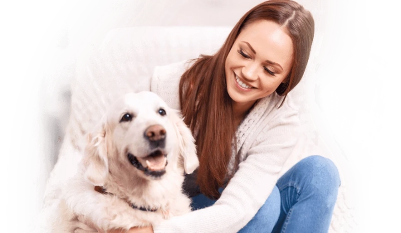 Reasons behind people’s changing attitude towards emotional support animals?