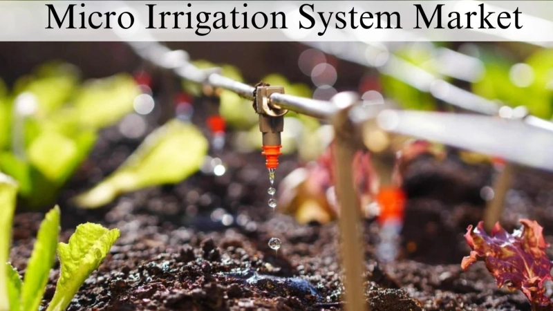 Micro Irrigation System Market Size, Overview and Growth Trends Through 2032