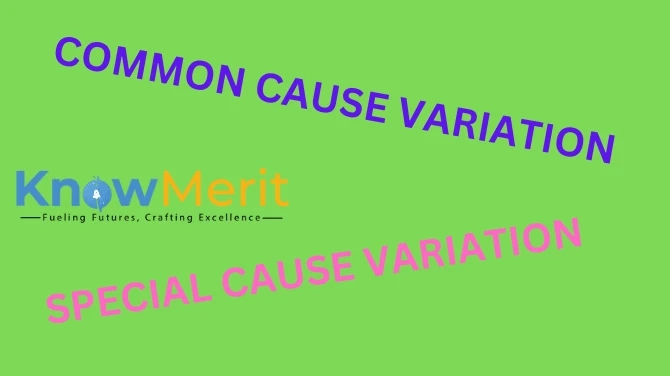Beyond the Buzzwords: Navigating Process Dynamics with Common Cause and Special Cause Variations