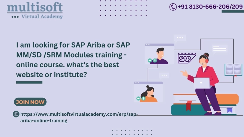 I am looking for SAP Ariba or SAP MM/SD /SRM Modules training -online course. what's the best website or institute?