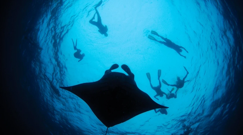Best Snorkeling spots around Miami