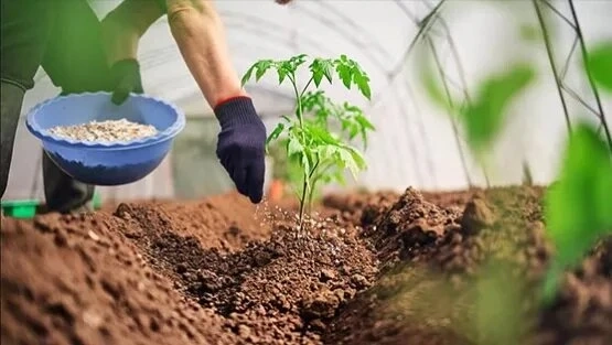 Get a Happy and Green Lawn with Omaha Fertilizer Company