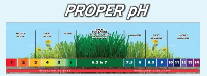 Soil pH: Why It Matters and How to Get It Right