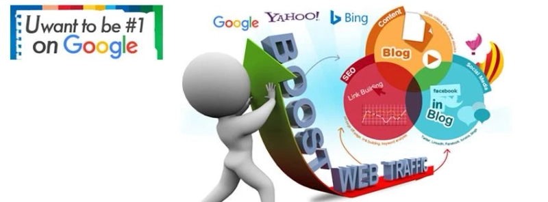 SEO Freelancer in Bangalore Organic Growth Expert | seofreelancerbangalore.com