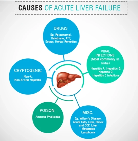 Hypertension: The Neglected Complication of Transplantation