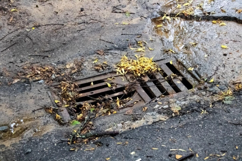 Top Causes of Blocked Drains in Poole and How to Avoid Them