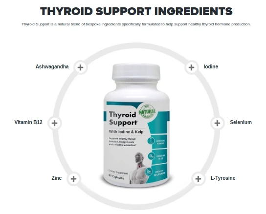 Detox and Cleansing Programs As Natural Remedies For Thyroid Disorder
