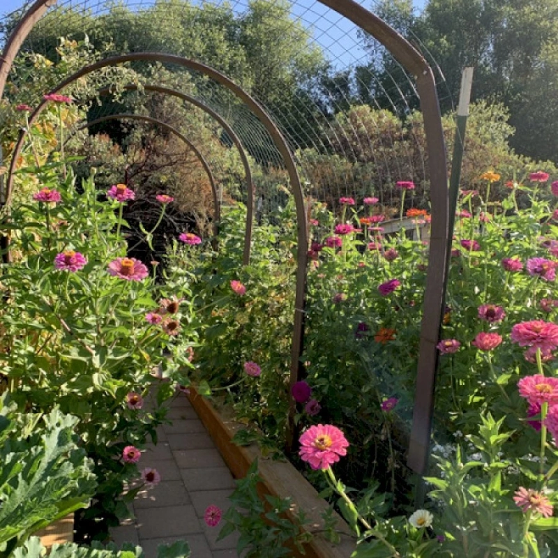 Making a Trellis From Scraps