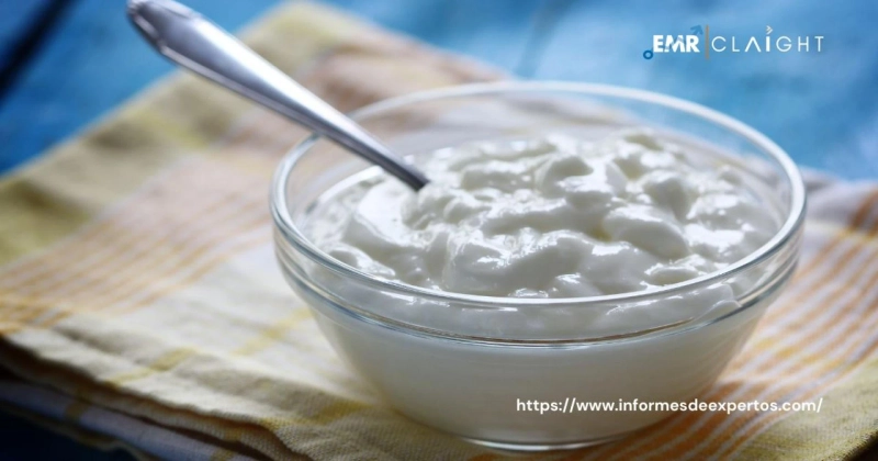 Cultivating Culture: A Comprehensive Overview of the Yogurt Market in Spain