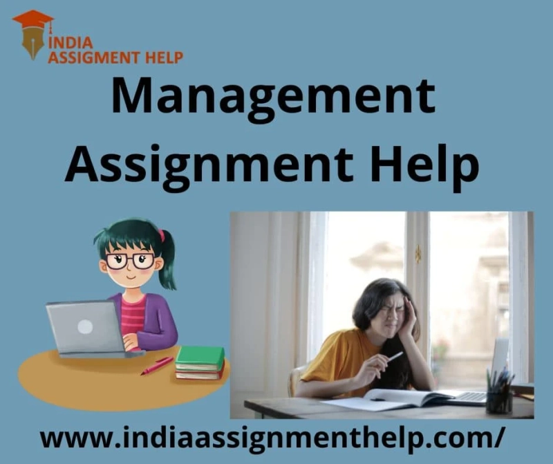 Student’s Guide for Writing Project Management Assignment