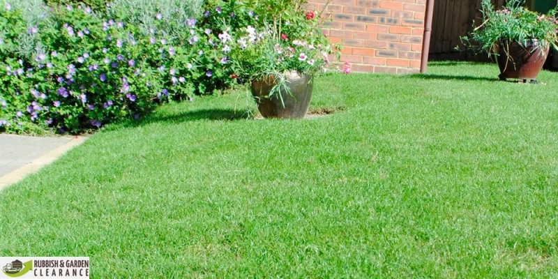 Things you should know about garden clearance Kingston upon Thames