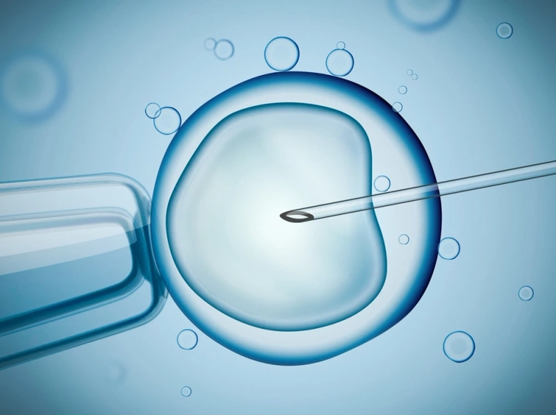 Unveiling the Qualities of the Best IVF Doctor in India: Guiding Light on the Path to Parenthood