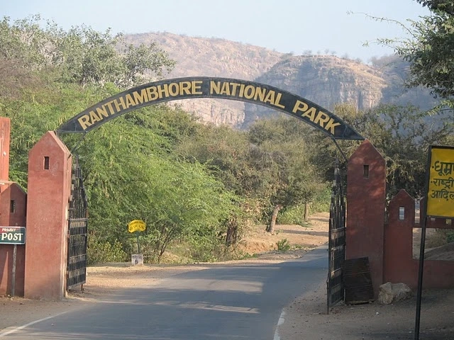 Embark on a Thrilling Adventure with Ranthambore Safari Booking