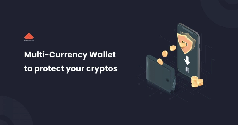 Top 5 Ways to Safeguard your Crypto Wallets – Tap into Useful Insights!