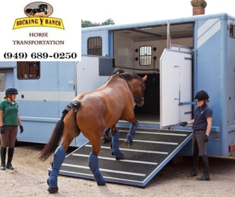 Rocking Y Ranch: Specialized Equine Transportation in California