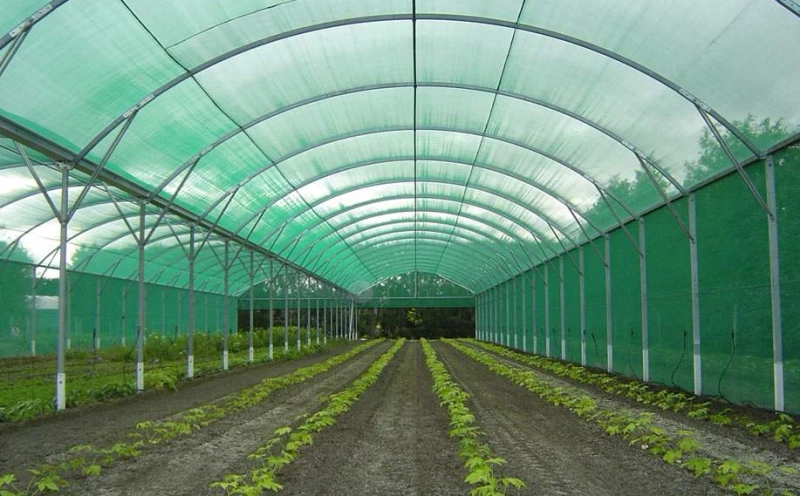 How Agricultural Shade Nets Can Boost Your Crop Yield Year-Round!