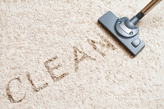 Top 10 Benefits of Professional Carpet Cleaning on the Sunshine Coast