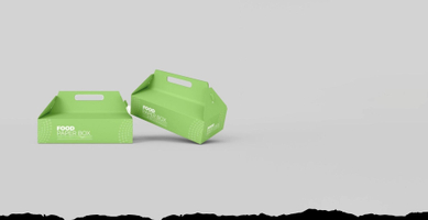 Savory Delights: Elevate Your Culinary Experience with Biotech Packages' Food Boxes