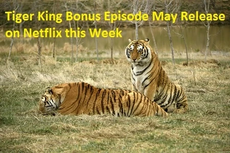 Tiger King Bonus Episode May Release on Netflix this Week