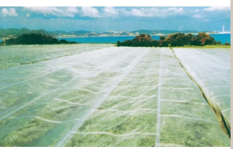 Plastic Row Covers for Garden: A Complete Guide to Protecting Your Plants