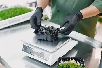 Global Algae Product Market Size, Segments, Outlook, and Revenue Forecast 2022-2028 – Ken Research