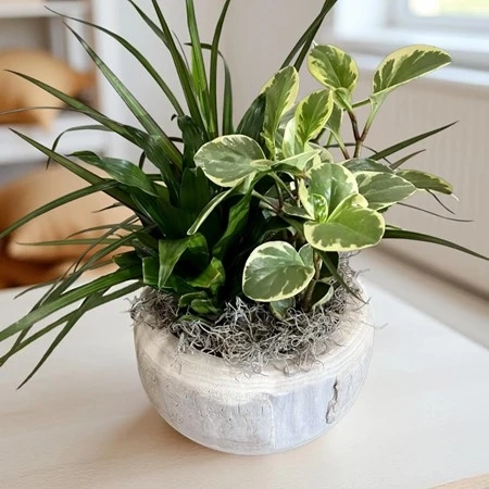 Smart Anniversary Gifting With Elegant Floral Delivery Choices