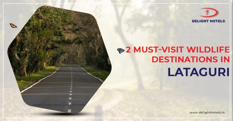 2 Must-Visit Wildlife Destinations In Lataguri