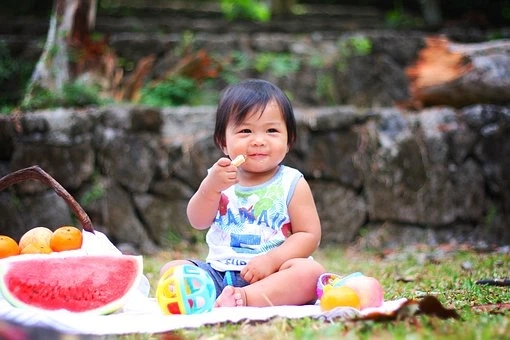 Baby food and Infant Formula Market is Poised to Exhibit A Moderate 7.78% CAGR through 2027