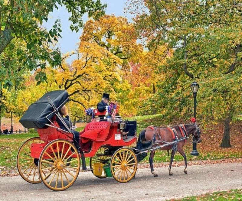 Is a VIP Central Park Carriage Ride the Best Way to See Manhattan’s Heart?