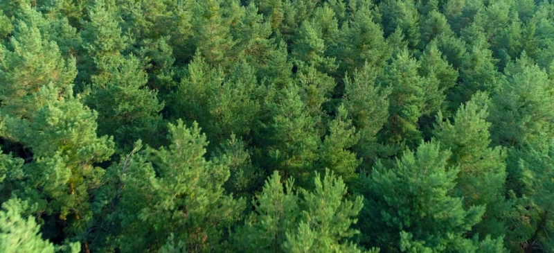 Exploring Wraparound Mortgages for Vacant Land: A Comprehensive Guide